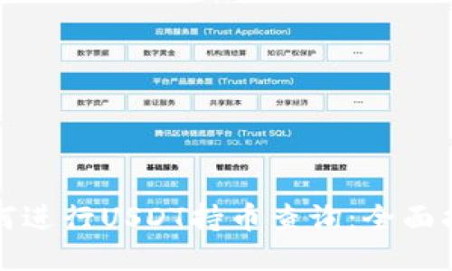 如何进行USDT持币查询：全面指南
