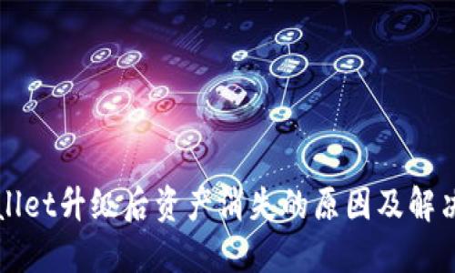 TPWallet升级后资产消失的原因及解决方法