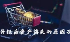 TPWallet升级后资产消失的原