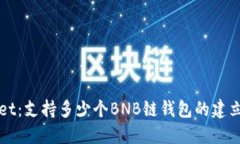 TPWallet：支持多少个BNB链钱
