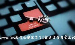 riaotitpwallet为什么安装不了