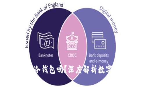 领英钱包是冷钱包吗？深度解析数字钱包的分类