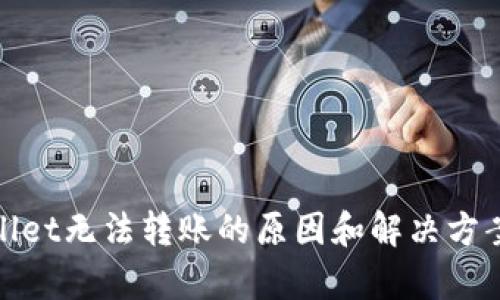 tpwallet无法转账的原因和解决方案详解