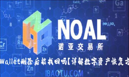TPWallet删除后能找回吗？详解数字资产恢复方法