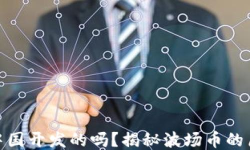 
波场币是中国开发的吗？揭秘波场币的历史与影响
