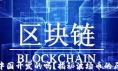 波场币是中国开发的吗？