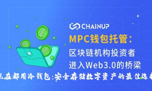现在都用冷钱包：安全存储数字资产的最佳选择