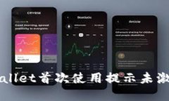 解决TPWallet首次使用提示未