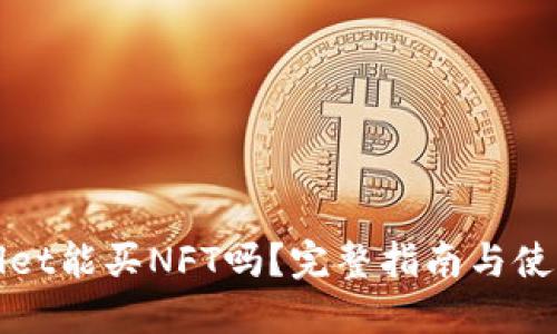 TPWallet能买NFT吗？完整指南与使用技巧
