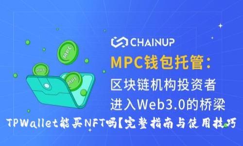 TPWallet能买NFT吗？完整指南与使用技巧