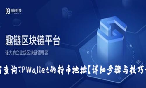 如何查询TPWallet的持币地址？详细步骤与技巧说明