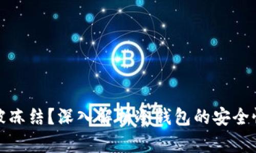 冷钱包能否被冻结？深入解析冷钱包的安全性与使用场景