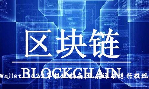 TPWallet 2023年提现指南：现在还能进行提现吗？