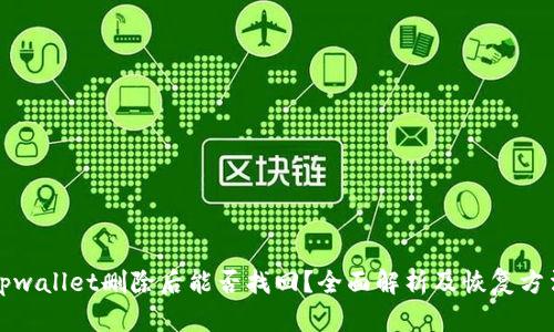 tpwallet删除后能否找回？全面解析及恢复方法