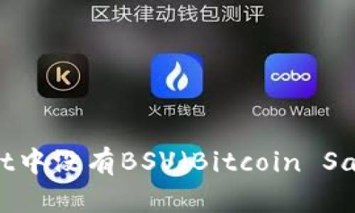 为什么TPWallet中没有BSV（Bitcoin Satoshi Vision）？
