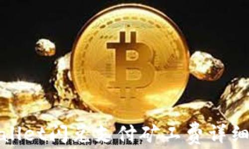 
tpwallet闪兑支付矿工费详细指南