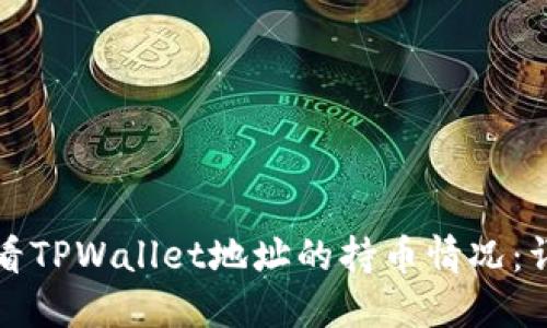 如何查看TPWallet地址的持币情况：详细指南
