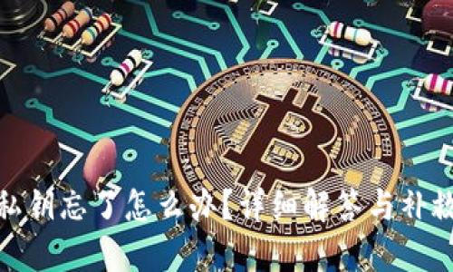 钱包私钥忘了怎么办？详细解答与补救措施