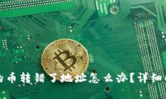 冷钱包里面买的币转错了