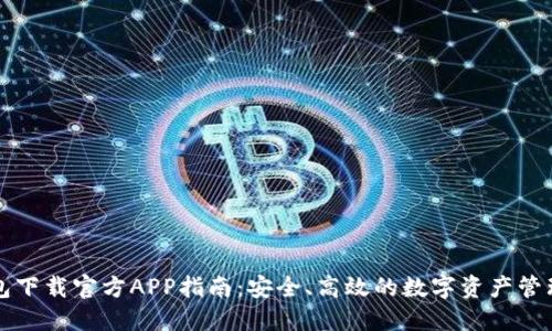 区块链钱包下载官方APP指南：安全、高效的数字资产管理解决方案