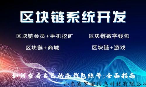 如何查看自己的冷钱包账号：全面指南