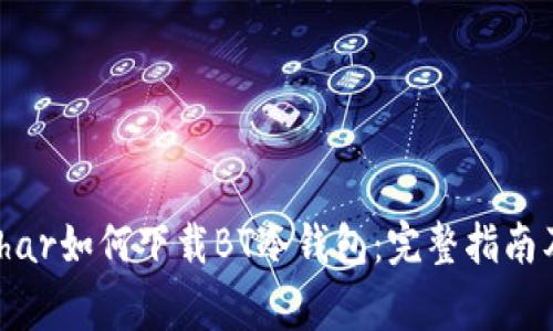 varchar/varchar如何下载BT冷钱包：完整指南及常见问题解答