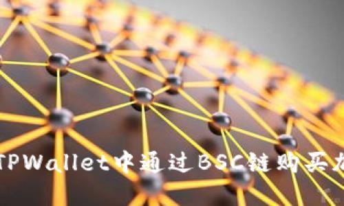 如何在TPWallet中通过BSC链购买加密货币