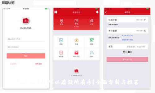 哪个冷钱包可以存储所有币？全面分析与推荐