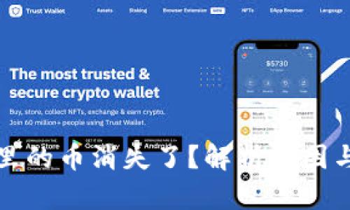 tpwallet里的币消失了？解析原因与解决方案
