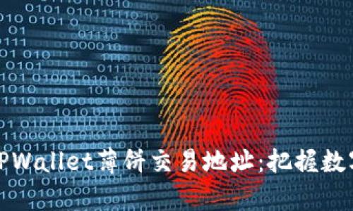 全面解析TPWallet薄饼交易地址：把握数字资产安全