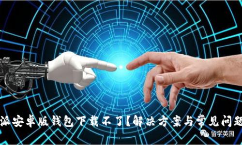 比特派安卓版钱包下载不了？解决方案与常见问题解析