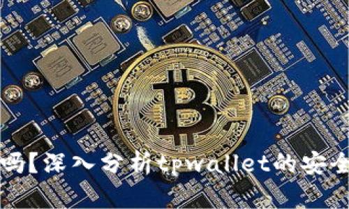 tpwallet安全吗？深入分析tpwallet的安全性和风险因素