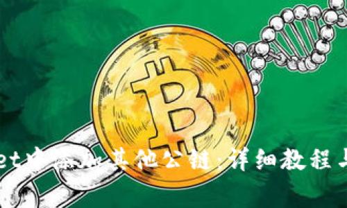 如何在TPWallet中添加其他公链：详细教程与常见问题解析
