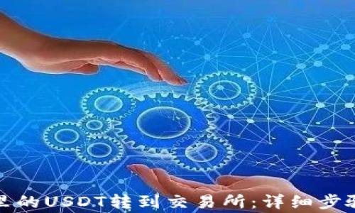 
如何将钱包里的USDT转到交易所：详细步骤与注意事项