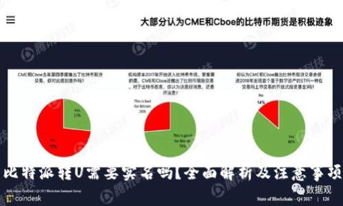 比特派转U需要实名吗？全面解析及注意事项