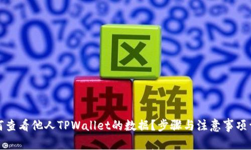 如何查看他人TPWallet的数据？步骤与注意事项详解