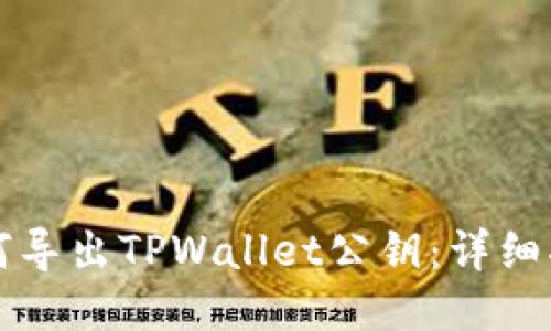 如何导出TPWallet公钥：详细指南