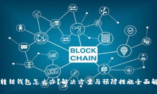 TP转错钱包怎么办？解决方案与预防措施全面解析