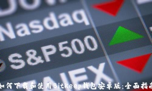 
如何下载和使用BitKeep钱包安卓版：全面指南