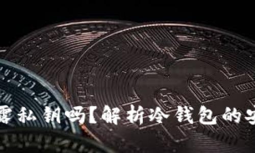 冷钱包签名不会泄露私钥吗？解析冷钱包的安全机制与使用场景