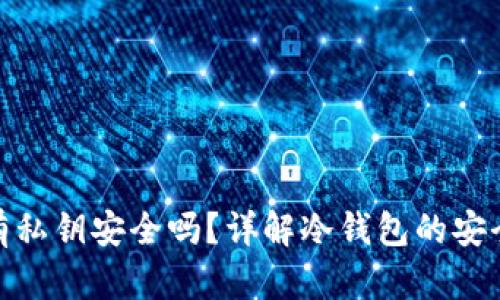 冷钱包没有私钥安全吗？详解冷钱包的安全性与风险