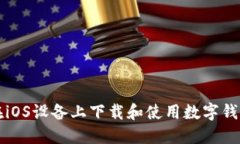 如何在iOS设备上下载和使