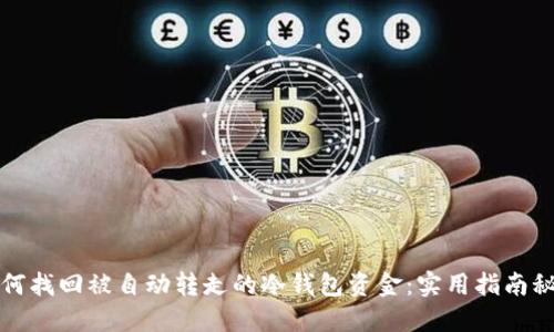 如何找回被自动转走的冷钱包资金：实用指南秘籍