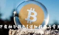 如何快速下载柚子钱包？