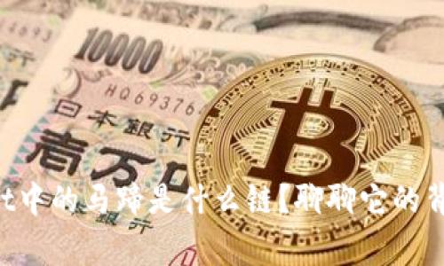 TPWallet中的马蹄是什么链？聊聊它的背后故事！
