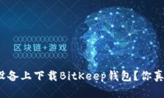 如何在苹果设备上下载B