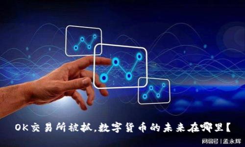 OK交易所被抓，数字货币的未来在哪里？
