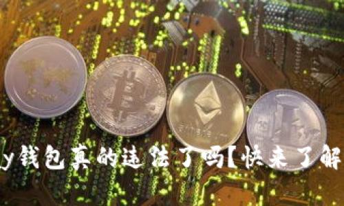 CGPay钱包真的违法了吗？快来了解真相！