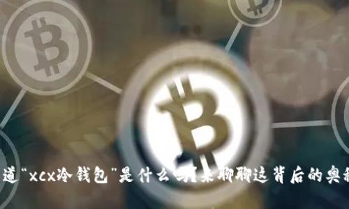 你知道“xcx冷钱包”是什么吗？来聊聊这背后的奥秘吧！