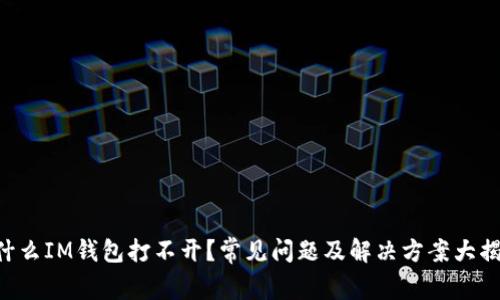 为什么IM钱包打不开？常见问题及解决方案大揭秘！